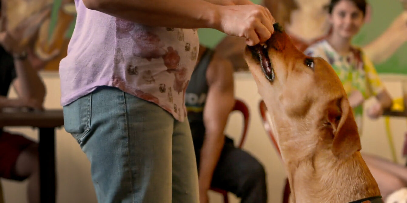 HSBC Chateau Le Woof Featured Image